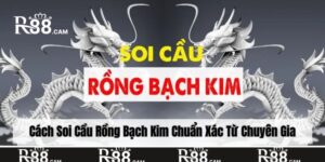 soi cầu rồng bạch kim