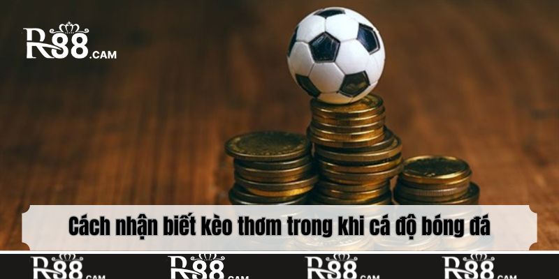 Cách nhận biết kèo thơm trong khi cá độ bóng đá