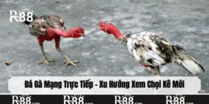 đá gà mạng trực tiếp