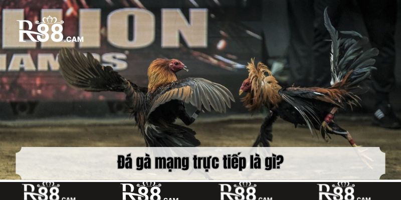 Đá gà mạng trực tiếp là gì?