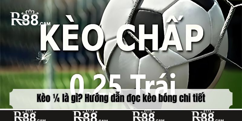 Kèo ¼ là gì? Hướng dẫn đọc kèo bóng chi tiết