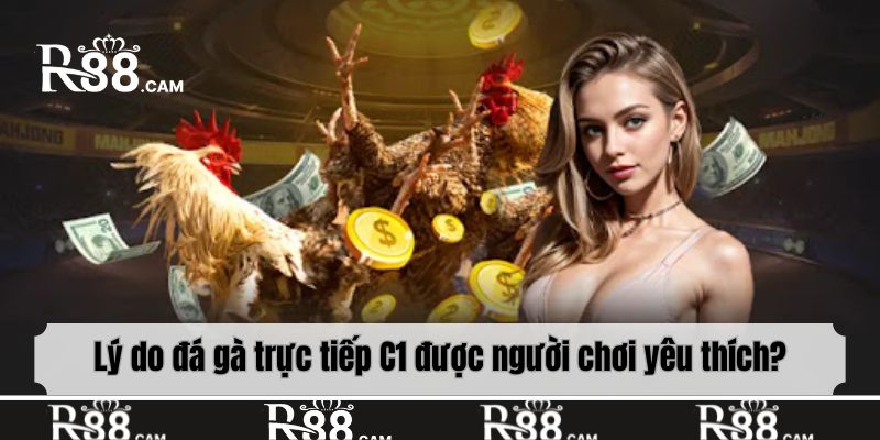 Lý do đá gà trực tiếp C1 được người chơi yêu thích?