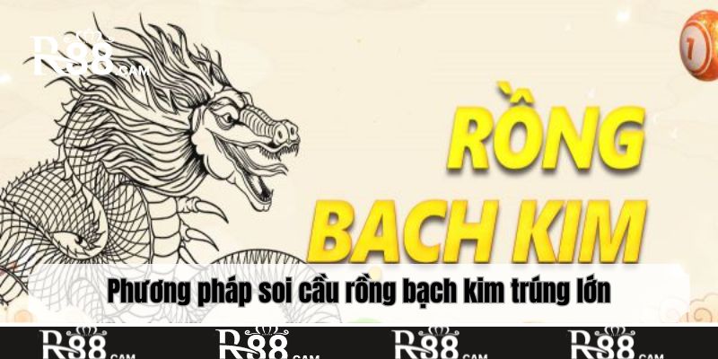 Phương pháp soi cầu rồng bạch kim trúng lớn