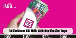 Tài xỉu Momo