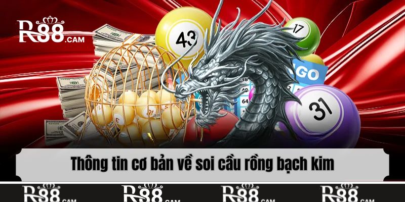 Thông tin cơ bản về soi cầu rồng bạch kim