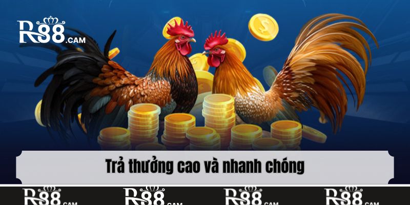 Trả thưởng cao và nhanh chóng