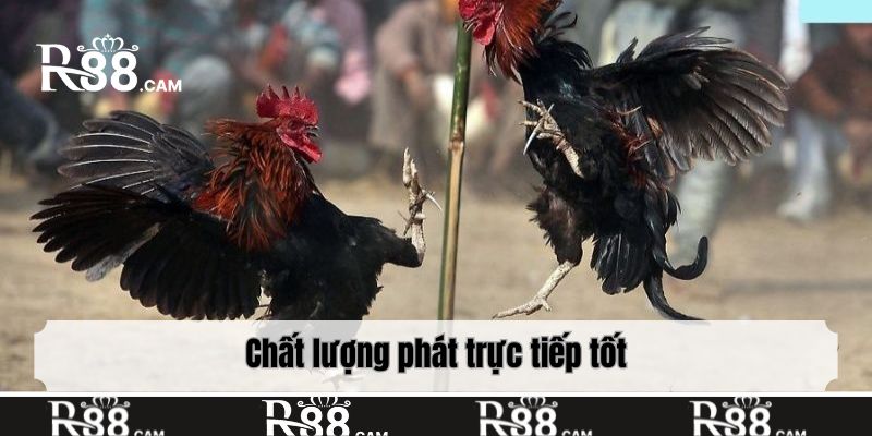 Chất lượng phát trực tiếp tốt